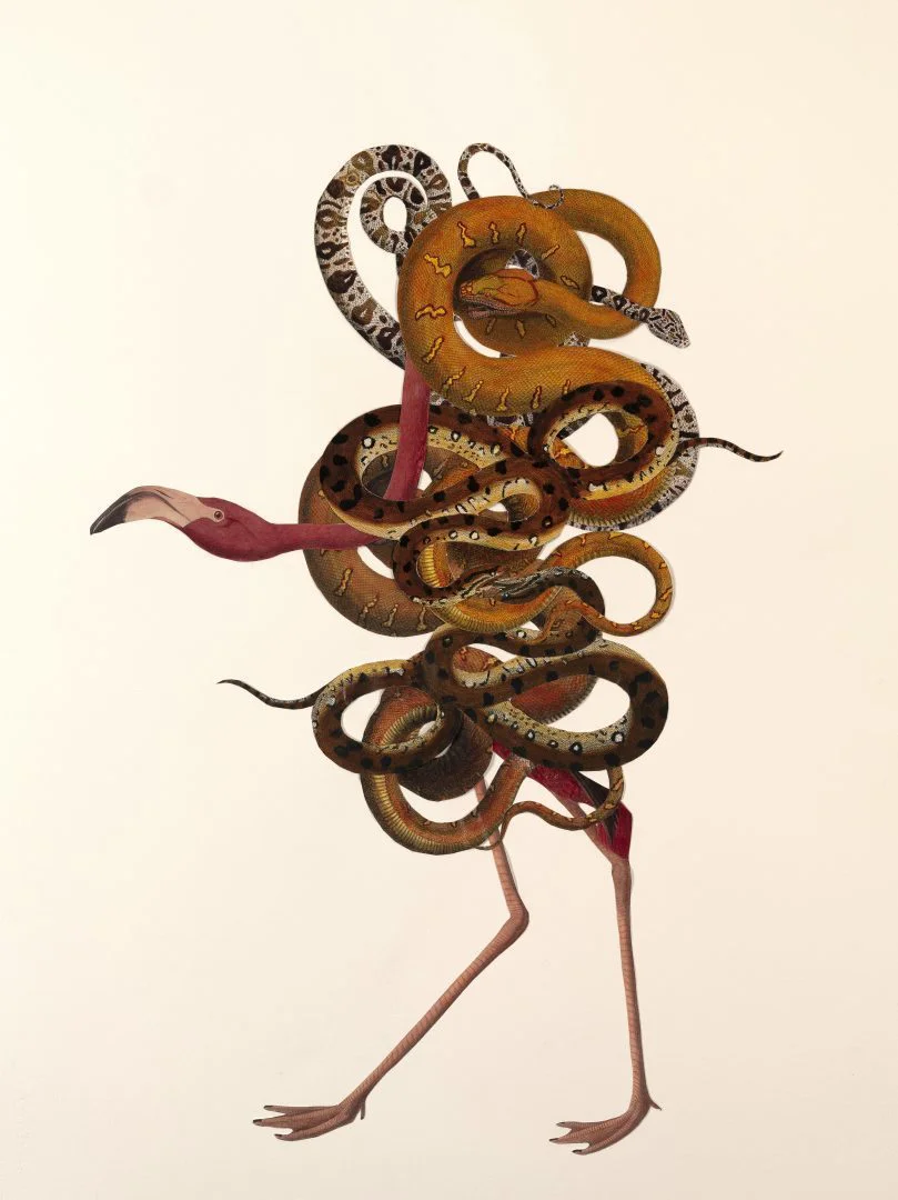 Maria Thurn und Taxis 10 Maria Thurn und Taxis Hypnagogia collage, 2018 collage 76 x 57 cm