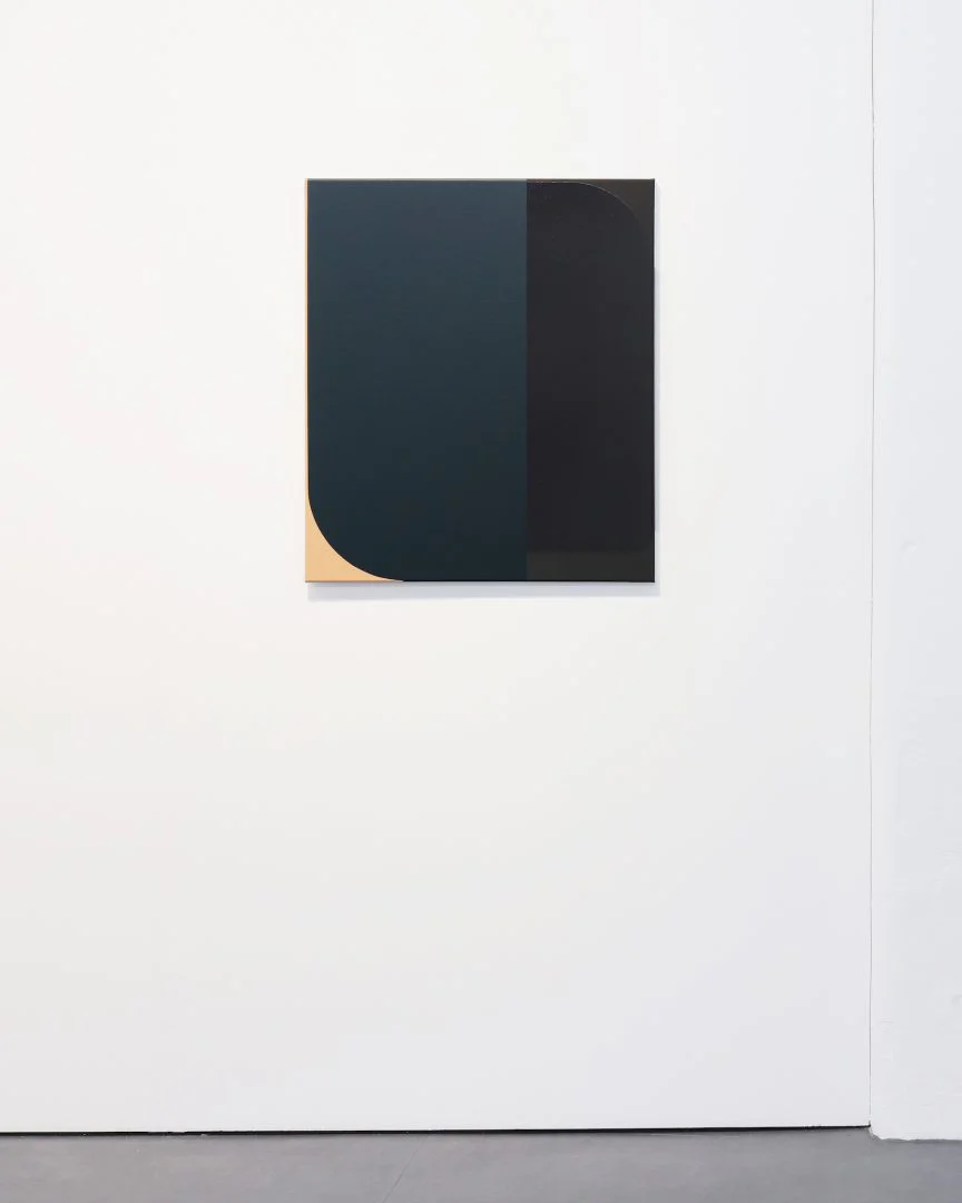 Irina Ojovan, Sarmizegetusa N 62 2019 oil and lacquer on canvas 82x71 cm