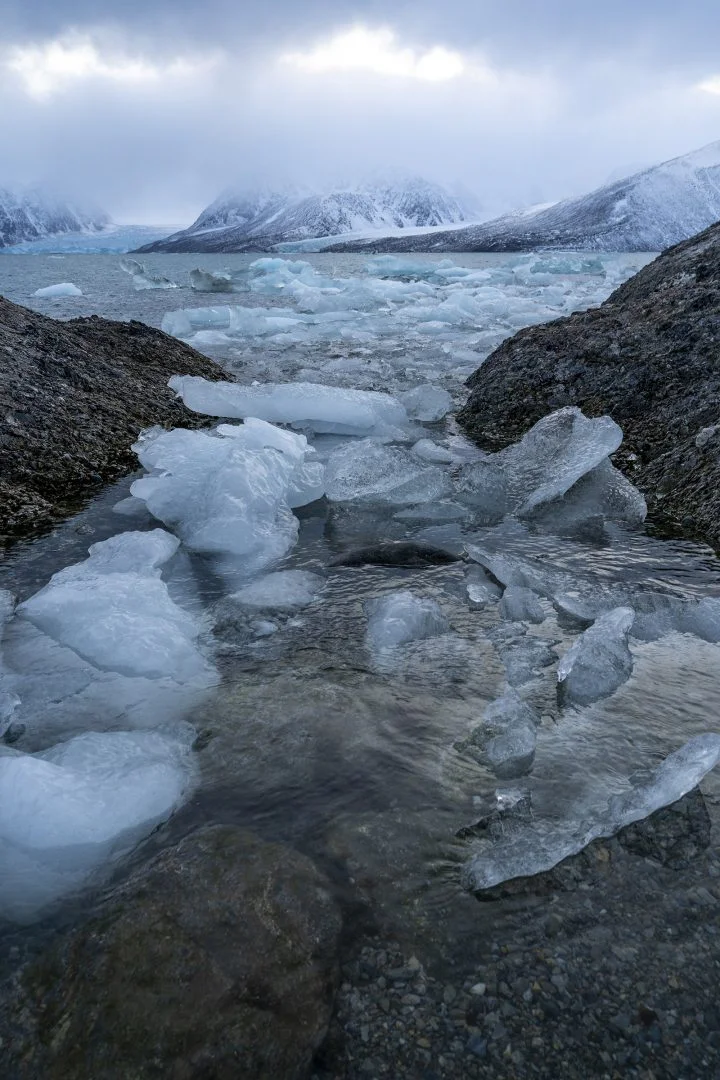 The Arctic Circle Residency, 2019, photo credit: Stephanie Imbeau 