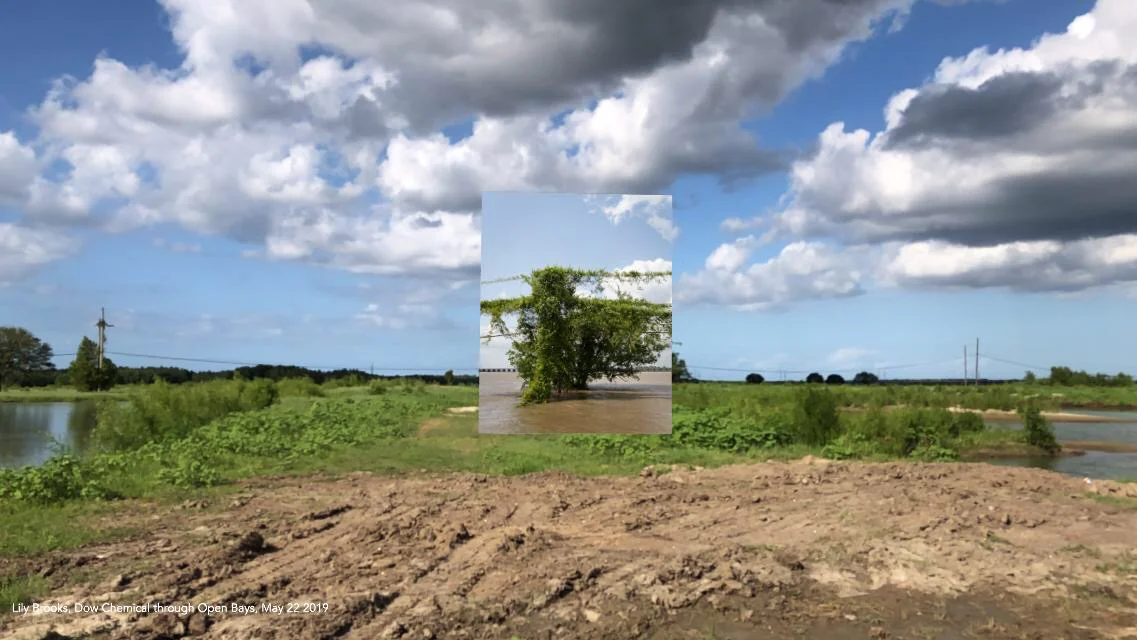 Battlegrounds in New Orleans 3 Lily Brooks, Kudzu and Tree near Site of Kugler Cemetery, May 22, 2019The Battlegrounds in New Orleans
an augmented reality (AR) exhibition