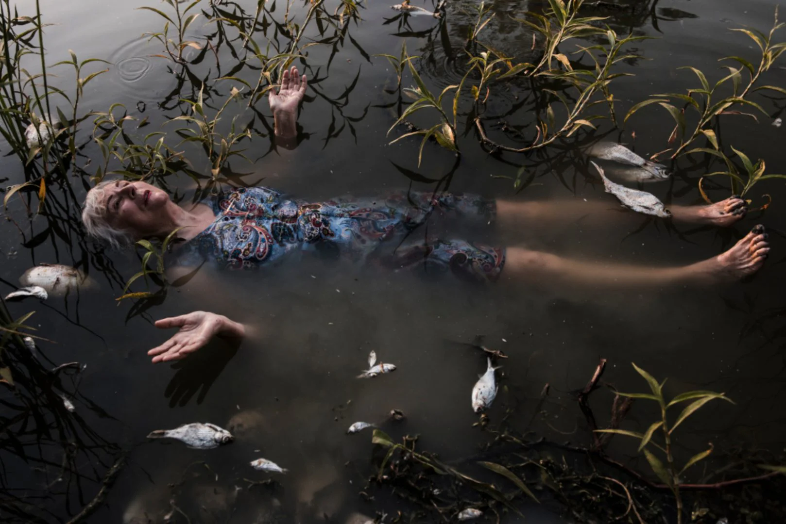 Photographic work of Australian artist Bonita Ely, responding to the mass fish die-off. | Menindee Fish Kill, January 2019, Artist: Bonita Ely; photographer: Melissa Williams-Brown