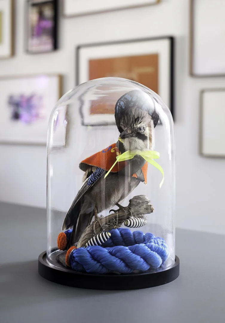 HELGA SCHMIDHUBER 12