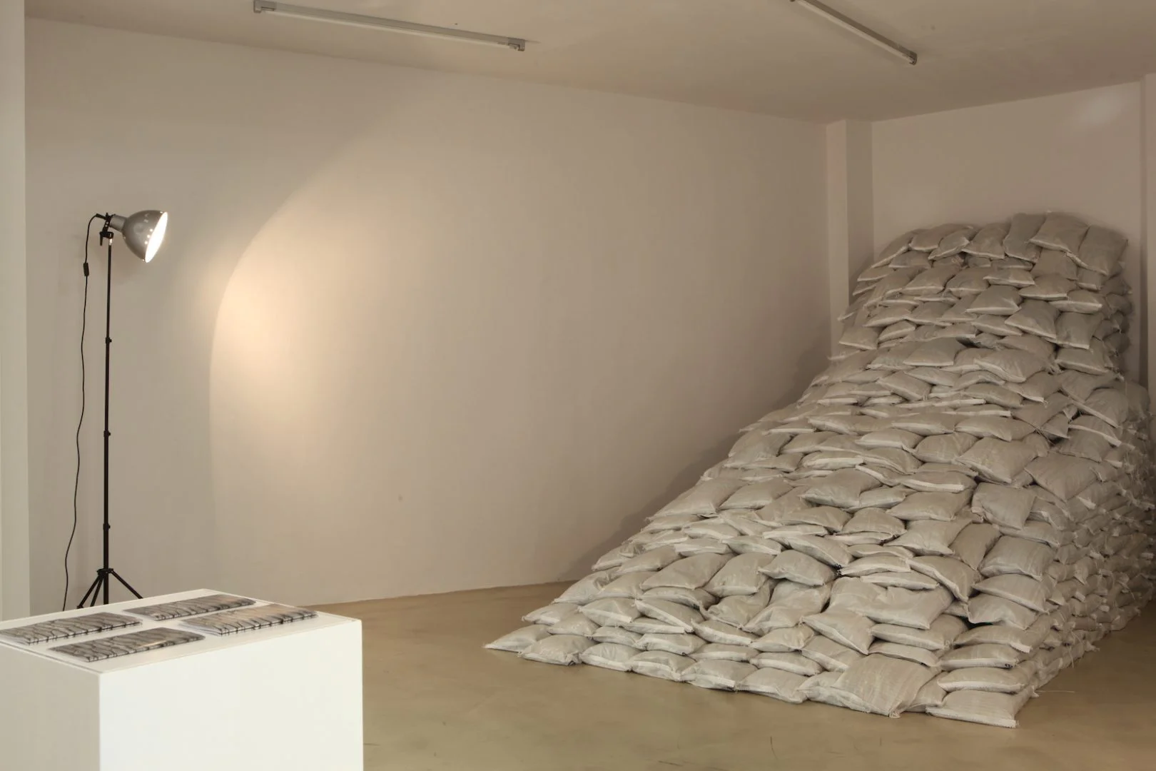 Talya Lubinsky, Floating Bodies. Exhibition at Iwalewahaus, University of Bayreuth, 2017