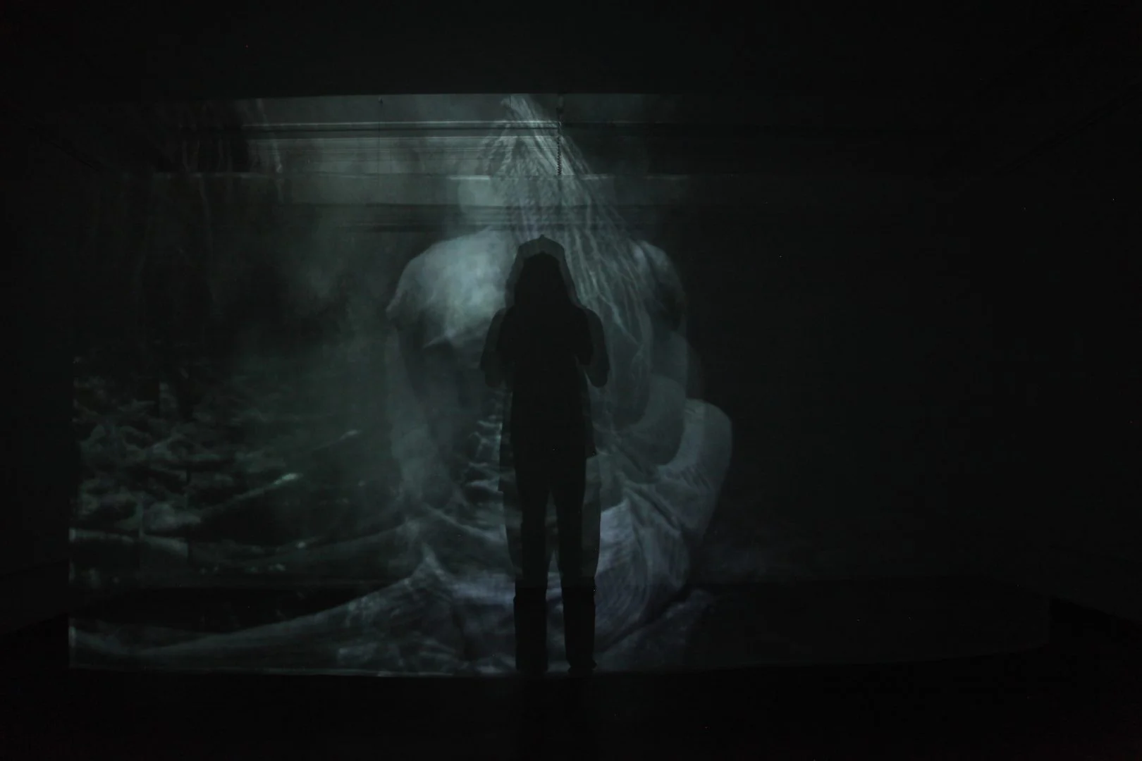 GLADYS KALICHINI 28 Gladys Kalichini, ChaMoneka: UnCasting Shadows, 2017, video