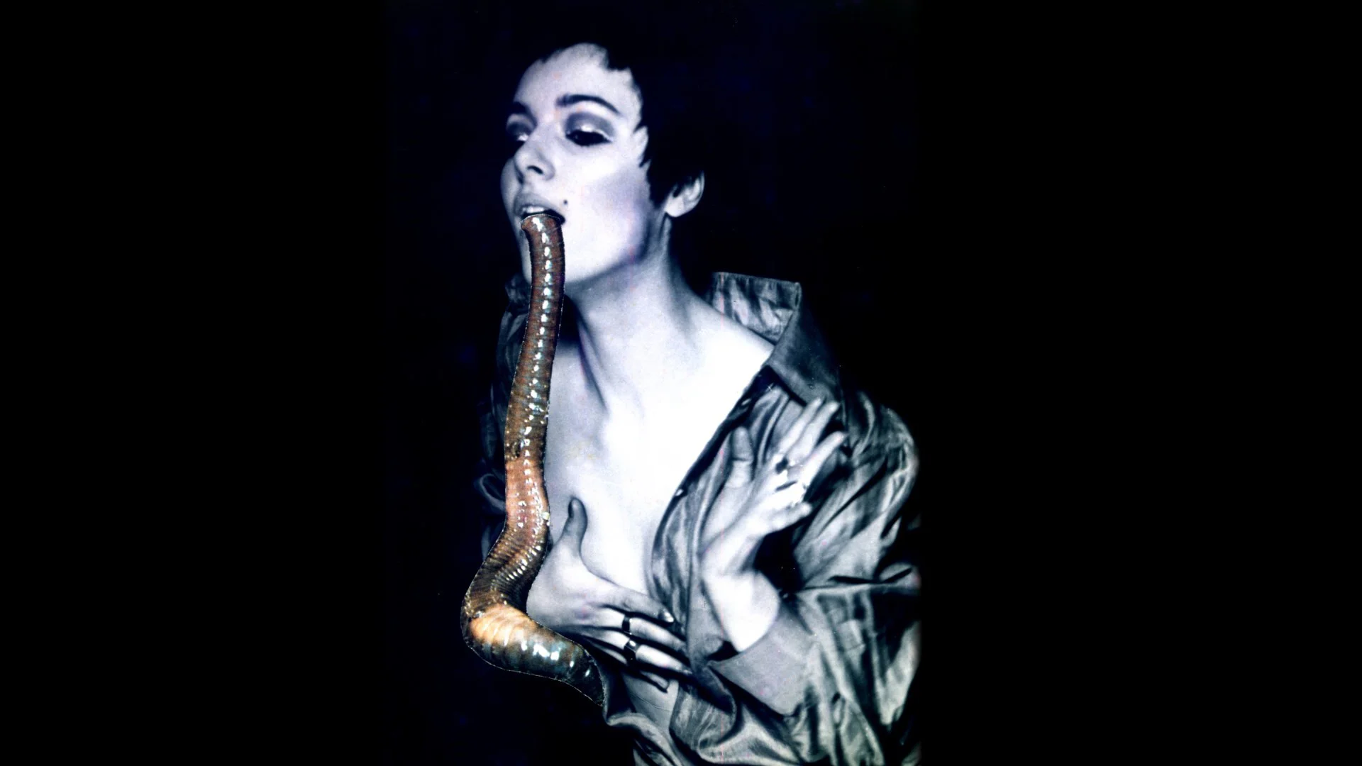 Penny Slinger, Larval Worm, Photo collage, 1969